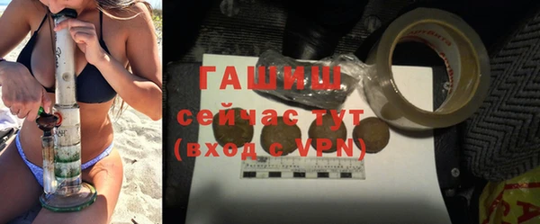 прущие грибы Дмитров