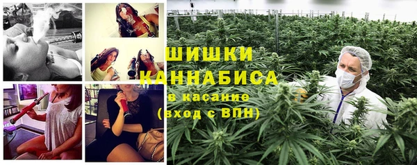 эйфоретик Дмитриев