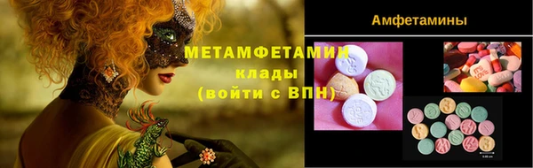прущие грибы Дмитров