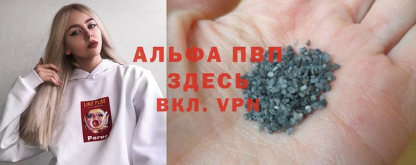 прущие грибы Дмитров