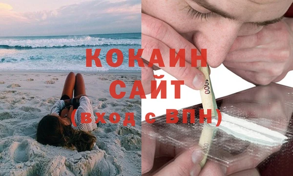 прущий лед Новозыбков