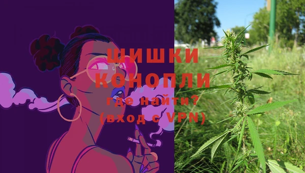 дурь Пересвет
