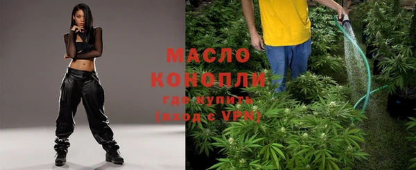 эйфоретик Дмитриев