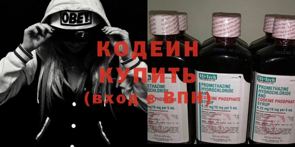 прущие грибы Дмитров