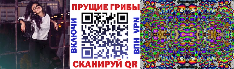 Псилоцибиновые грибы прущие грибы  Пласт 