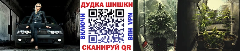 Бошки Шишки план  Пласт 